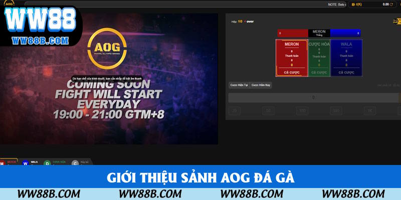 Nội dung giới thiệu AOG gà đá Nội dung giới thiệu AOG gà đá