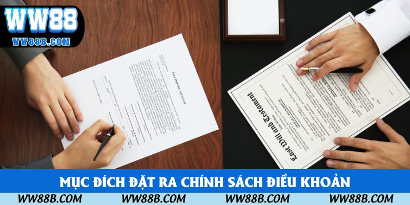 Mục đích đặt ra chính sách điều khoản