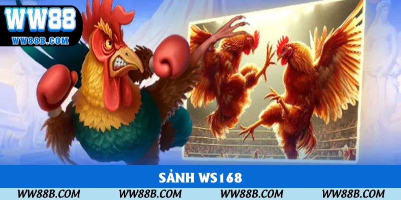 Sảnh WS168 - Chinh Phục Phiên Chọi Gà Hấp Dẫn Nhất 2025