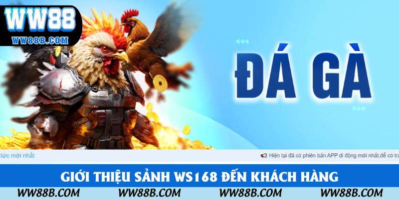 Giới thiệu sảnh WS168 đến khách hàng