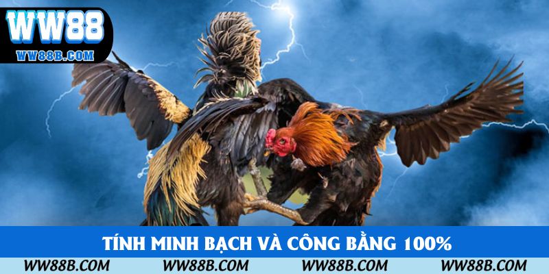 Nền tảng đảm bảo tính minh bạch và công bằng 100%