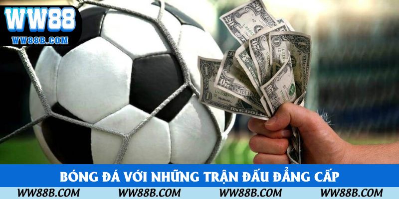 Cá cược bóng đá với những trận đấu đẳng cấp nhất thế giới Cá cược bóng đá với những trận đấu đẳng cấp nhất thế giới