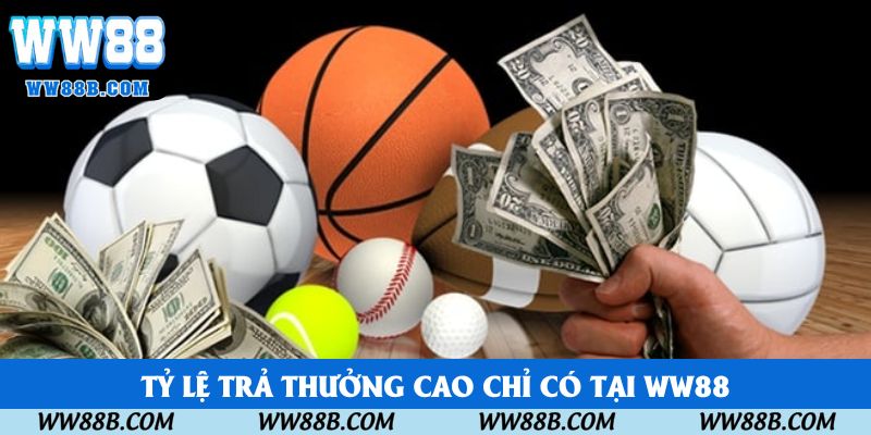 Tỷ lệ trả thưởng cao chỉ có tại WW88 Tỷ lệ trả thưởng cao chỉ có tại WW88