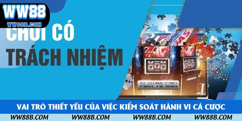 Vai trò thiết yếu của việc kiểm soát hành vi cá cược